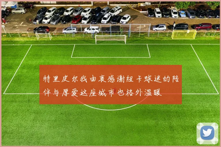 特里皮尔我由衷感谢纽卡球迷的陪伴与厚爱这座城市也格外温暖